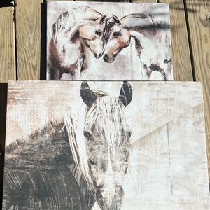 Horse Canvas!